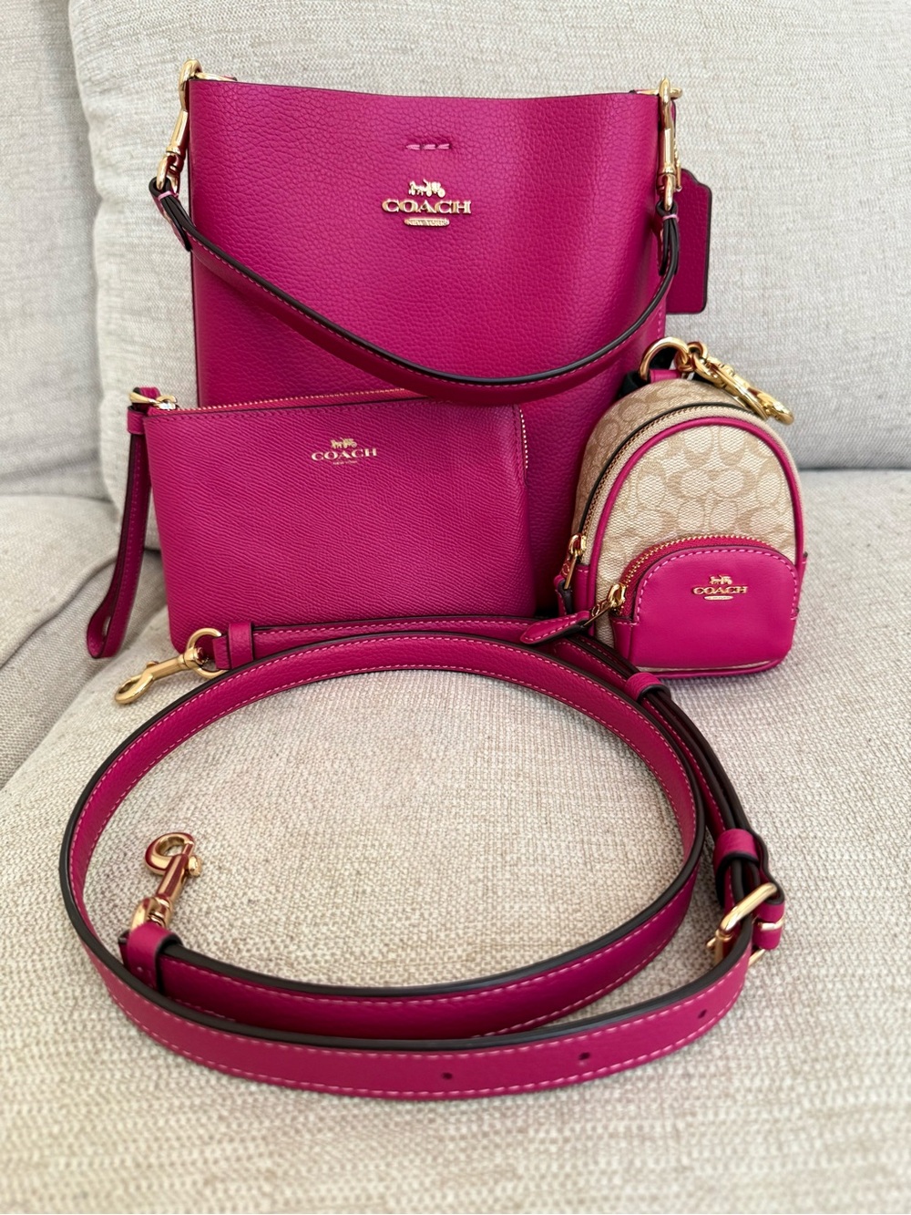 COACH Mollie Leather Bucket Bag Set in Pink
